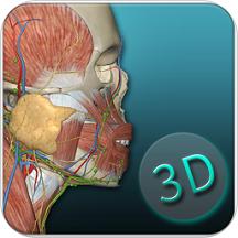 人体解剖学图集3d安卓版