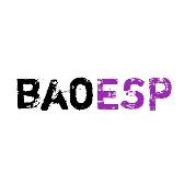 baoesp辅助器2.0.8