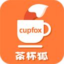 茶杯狐cupfox