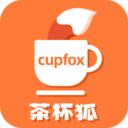 茶杯狐cupfox 