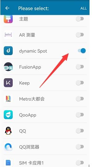 dynamicspotpro灵动岛参数怎么设置